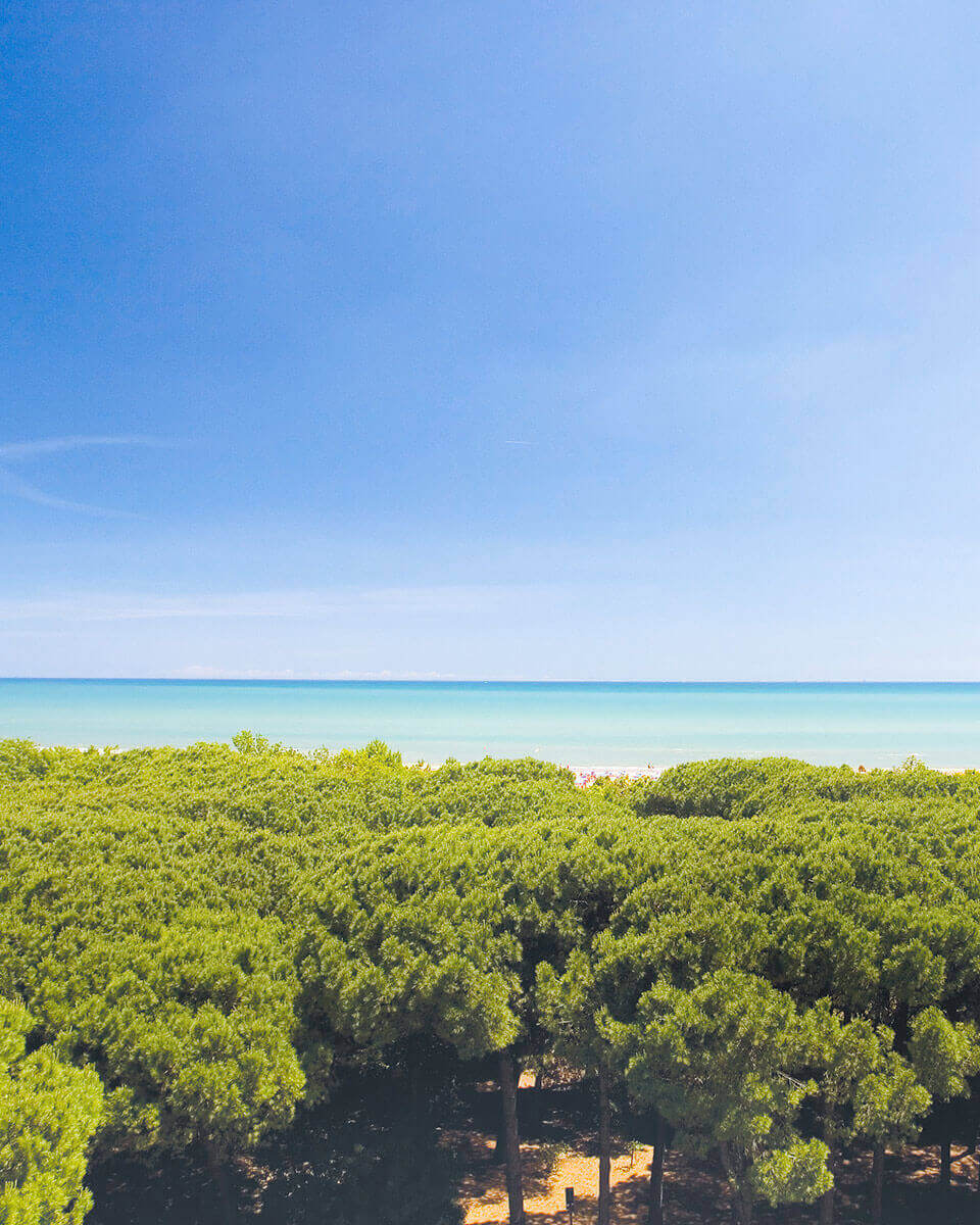 Vacanze a Zadina di Cesenatico, Riviera Romagnola