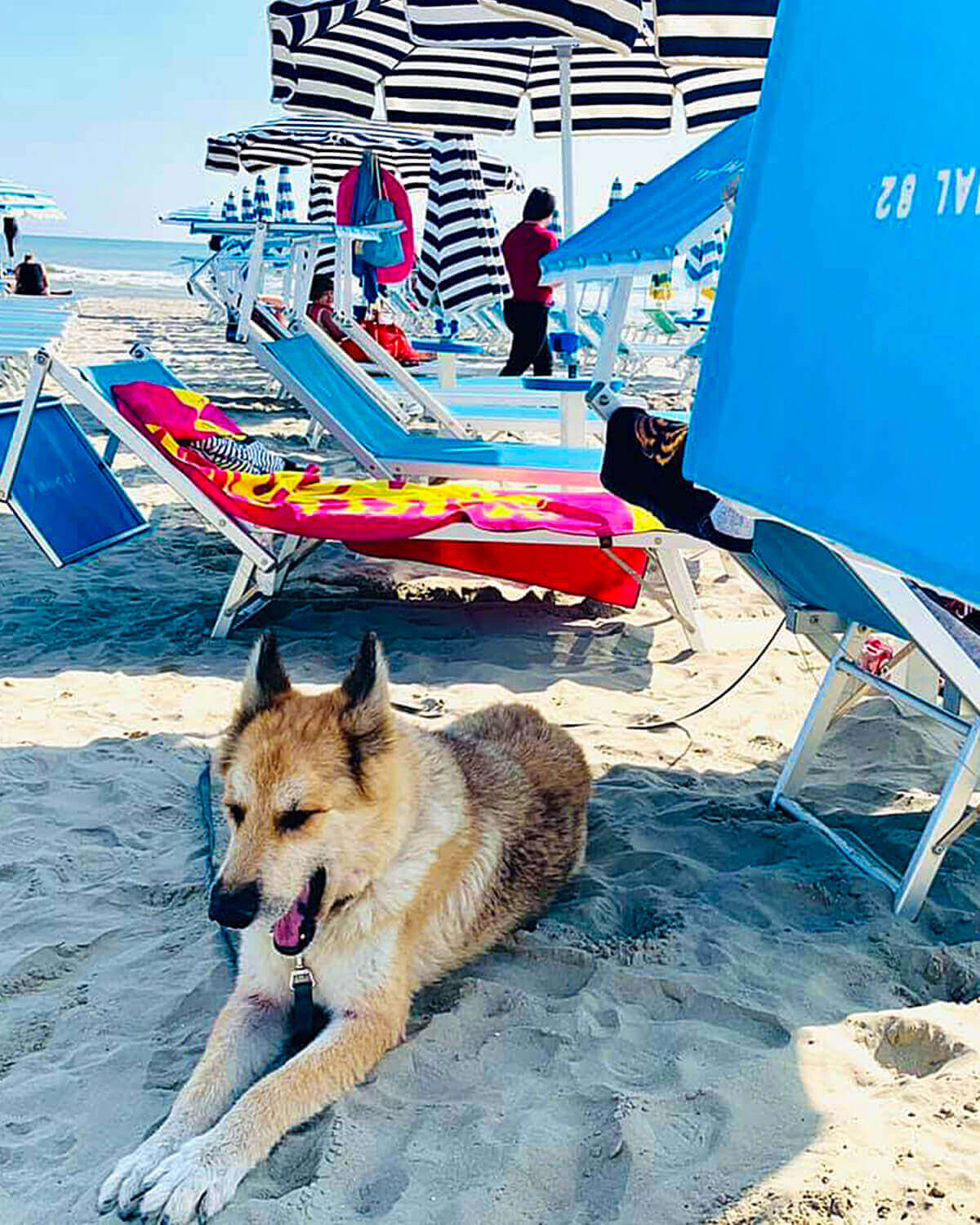 Spiaggia Cesenatico